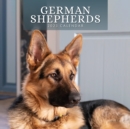 Image for GERMAN SHEPHERDS 2023 SQUARE WALL CALEND