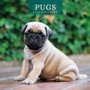 Image for PUGS 2023 SQUARE WALL CALENDAR