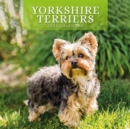 Image for YORKSHIRE TERRIERS 2023 SQUARE WALL CALE