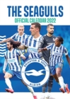 Image for The Official Brighton &amp; Hove Albion FC Calendar 2022