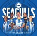 Image for The Official Seagulls Yearbook 2022/23