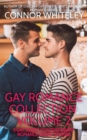 Image for Gay Romance Collection Volume 2