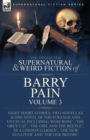 Image for The Collected Supernatural and Weird Fiction of Barry Pain-Volume 3 : Eight Short Stories, Two Novellas &amp; One Novel of the Strange and Unusual Including &#39;Rose Rose&#39;, &#39;The Grey Cat&#39;, &#39;The Girl and the 