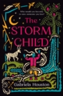 Image for The Storm Child