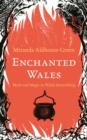Image for Enchanted Wales  : myth and magic in Welsh storytelling