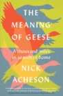 Image for The meaning of geese  : a thousand miles in search of home