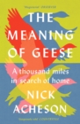 Image for The Meaning of Geese
