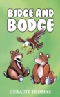 Image for Bidge and Bodge