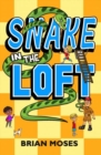 Image for Snake In The Loft