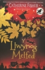 Image for Y Llwynog Melfed