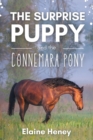 Image for The surprise puppy and the Connemara pony