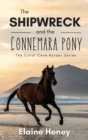Image for The Shipwreck and the Connemara Pony - The Coral Cove Horses Series