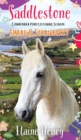 Image for Saddlestone Connemara Pony Listening School | Sinead and Strawberry