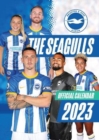Image for The Official Brighton &amp; Hove Albion FC Calendar 2023