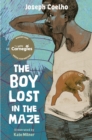 Image for The Boy Lost in the Maze