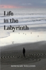 Image for Life in the Labyrinth