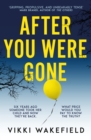 Image for After You Were Gone
