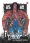 Image for Frankenstein&#39;s Monster: The Graphic Novel