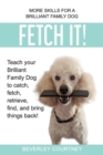 Image for Fetch It! : Teach your Brilliant Family Dog to catch then fetch, retrieve, find, and bring things back