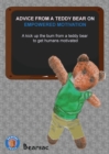 Image for Advice from a Teddy Bear on Empowered Motivation : A kick up the bum from a teddy bear to get humans motivated