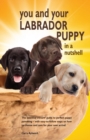 Image for You and Your Labrador Puppy in a Nutshell : The essential owners&#39; guide to perfect puppy parenting - with easy-to-follow steps on how to choose and care for your new arrival