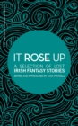 Image for It rose up: a selection of lost Irish fantasy stories