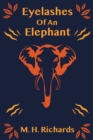 Image for Eyelashes of an Elephant