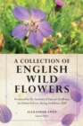 Image for A Collection of English Wild Flowers