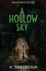 Image for A Hollow Sky
