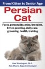 Image for Persian Cat