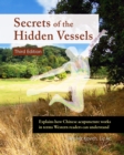 Image for Secrets of the Hidden Vessels: Explains how Chinese acupuncture works in terms Western readers can understand