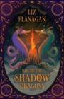 Image for Rise of the shadow dragons : book 2