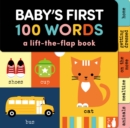 Image for Baby&#39;s First 100 Words