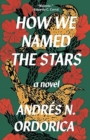 Image for How We Named the Stars: One of the Observer&#39;s 2024 Top Ten Debuts