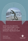 Image for Strata Florida - The History and Landscape of a Welsh Monastery