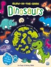 Image for Glow-in-the-Dark Dinosaurs Sticker Activity Book
