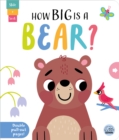 Image for How Big is a Bear?