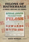 Image for Felons of Hathersage