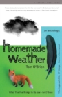 Image for Homemade Weather