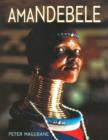 Image for Amandebele