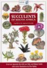 Image for Succulents of South Africa