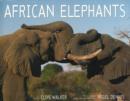 Image for African Elephants