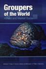 Image for Groupers of the World : A Field and Market Guide