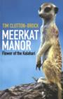 Image for Meerkat Manor : Flower of the Kalahari