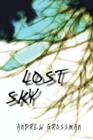 Image for Lost Sky