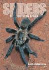 Image for Spiders of Southern Africa