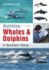 Image for Watching whales &amp; dolphins in southern Africa