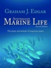 Image for Australian Marine Life : The Plants and Animals of Temperate Waters