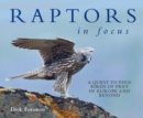 Image for Raptors in Focus