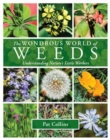 Image for The wonderous world of weeds